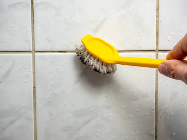 Best Attic Mold Removal  in Lake City, PA