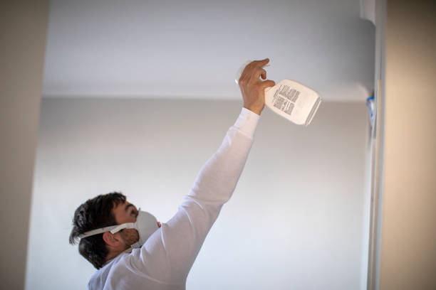 Best Professional Mold Removal  in Lake City, PA